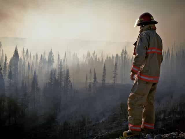 Wildfire-Related Workers Compensation